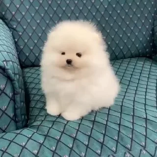 🤩