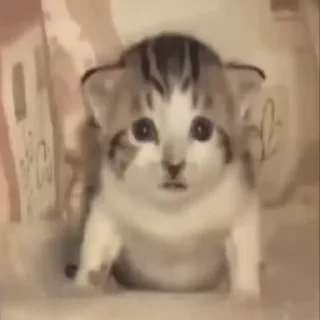 😐