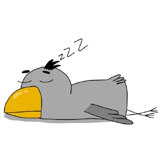 😴