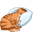 😴