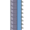 🐛