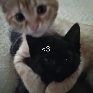 ❤️