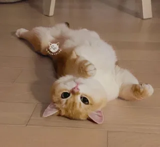 😍