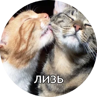 😘