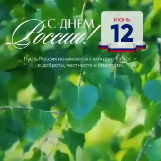 🌟