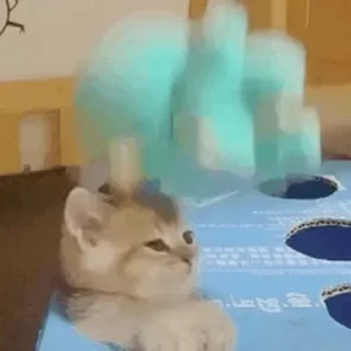 🥊