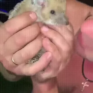 👃