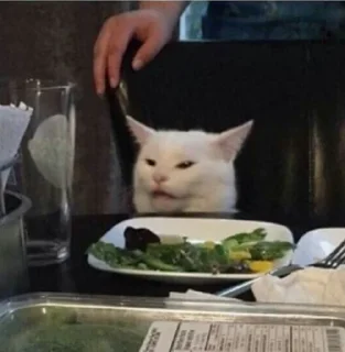 IpCatMeme | @pamblus
