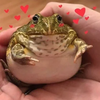 🥰