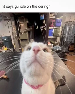 👀