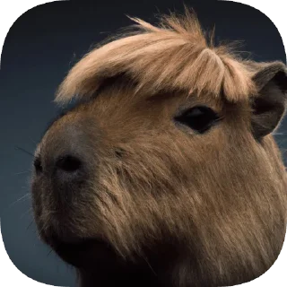 💇