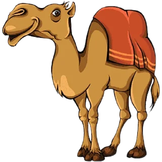 🐫