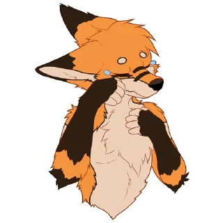 🦊