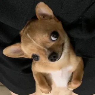 😌