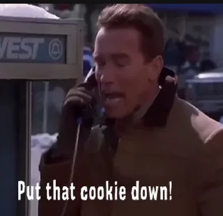 🍪