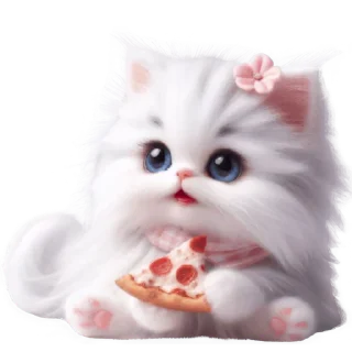 🍕
