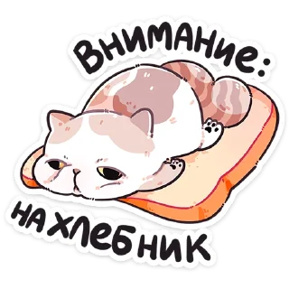 🍞