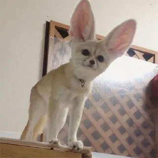 ❓