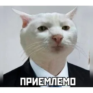 👍