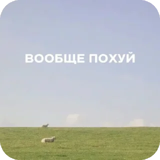 🌾