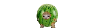 🍉