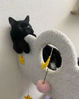 😴