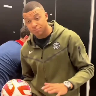 🐢
