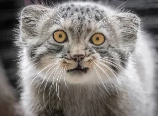 🤨
