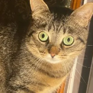 😑