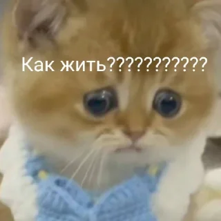😣