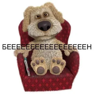 🐶