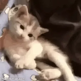 👋