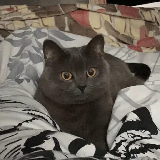 😳