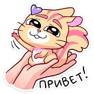 👋