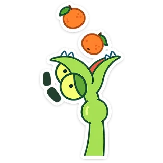 🍊