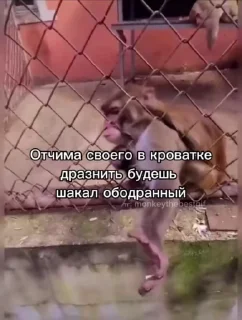 😱