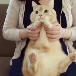 🙂