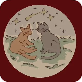✨