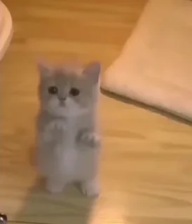 😇