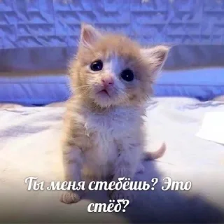 🥺
