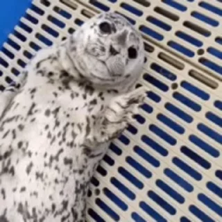 🤗