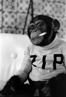 🚬