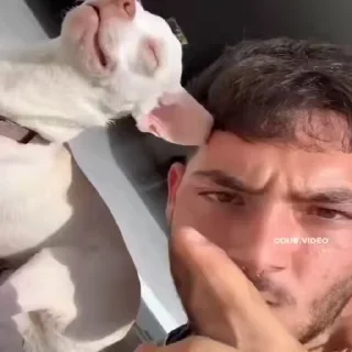 🤬