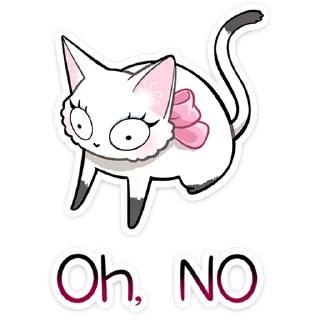 🐱
