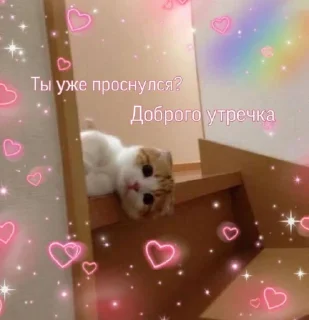 🌝