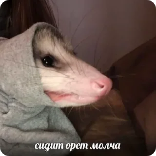 😶
