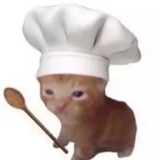 🐱