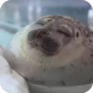 😌