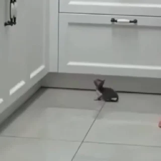 👀
