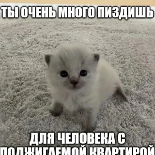 🧐